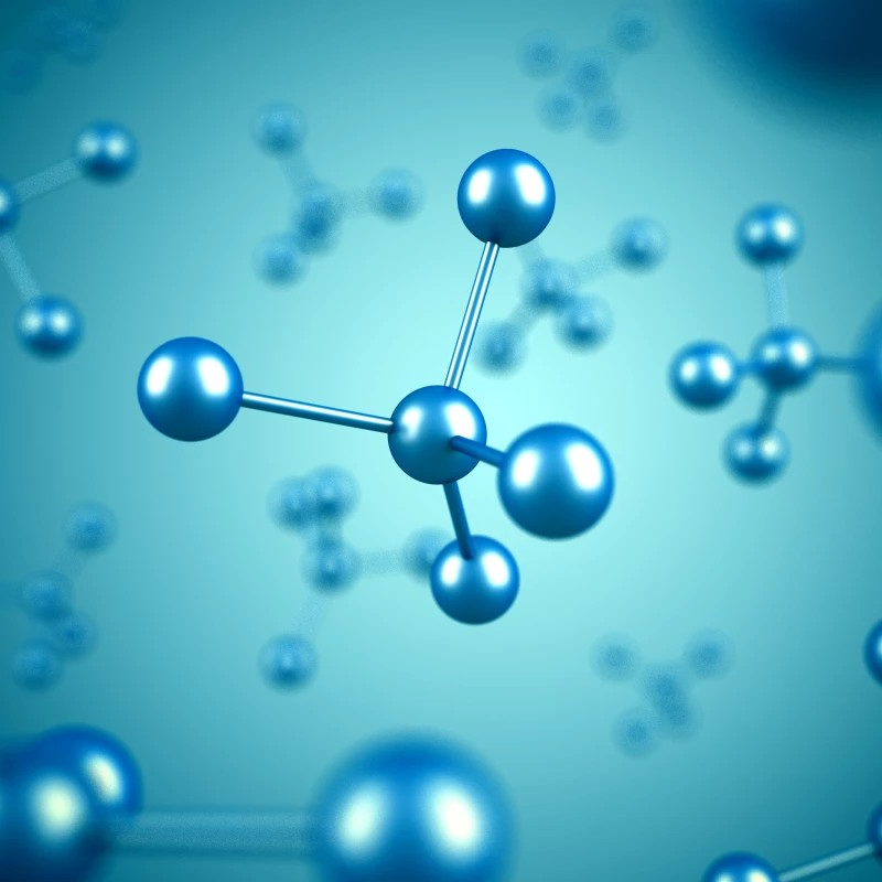 Images of Our Services